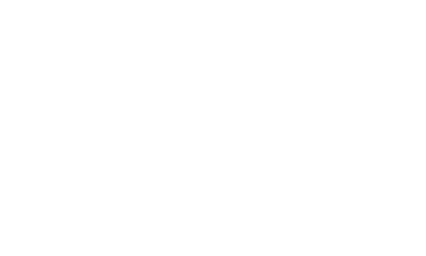 6 6